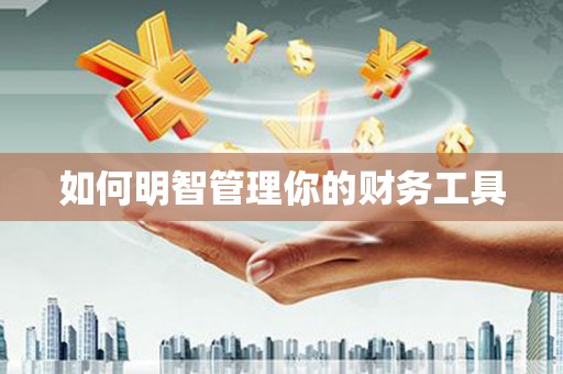 汉源如何明智管理你的财务工具