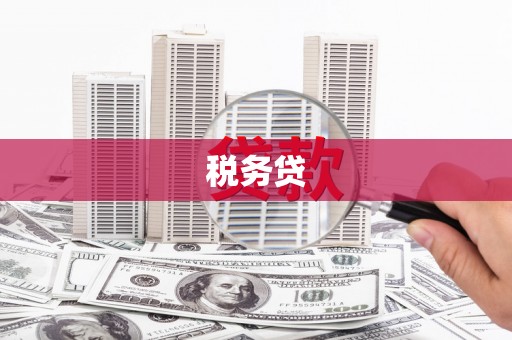 汉源税务贷