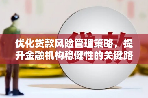 汉源优化贷款风险管理策略，提升金融机构稳健性的关键路径