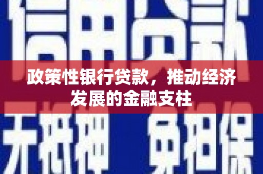 汉源政策性银行贷款，推动经济发展的金融支柱