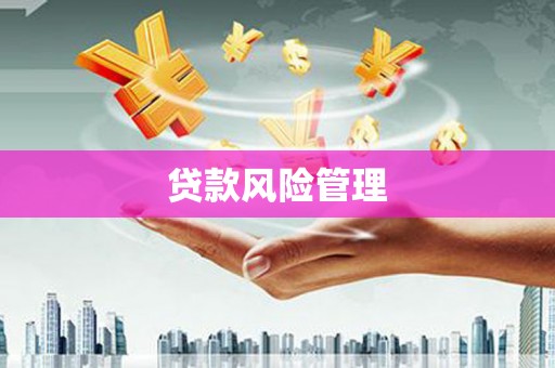 汉源贷款风险管理