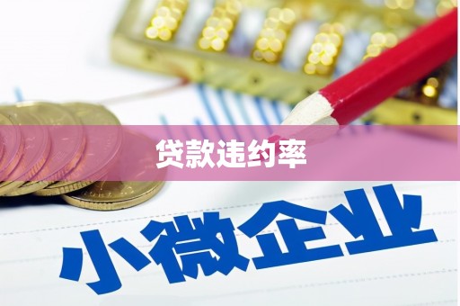 汉源贷款违约率