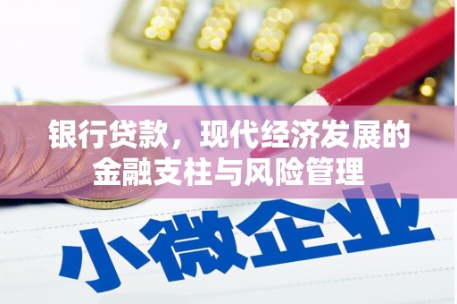 汉源银行贷款，现代经济发展的金融支柱与风险管理