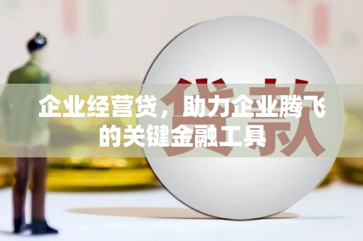 汉源企业经营贷，助力企业腾飞的关键金融工具