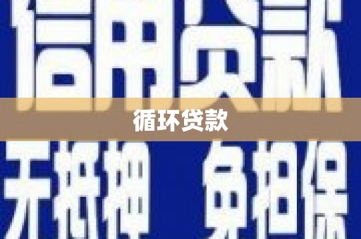 汉源循环贷款