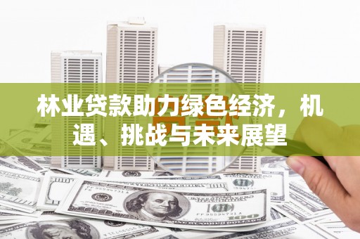 汉源林业贷款助力绿色经济，机遇、挑战与未来展望
