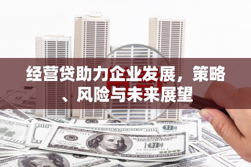 汉源经营贷助力企业发展，策略、风险与未来展望