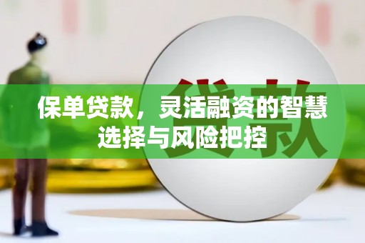 汉源保单贷款，灵活融资的智慧选择与风险把控