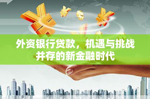 汉源外资银行贷款，机遇与挑战并存的新金融时代