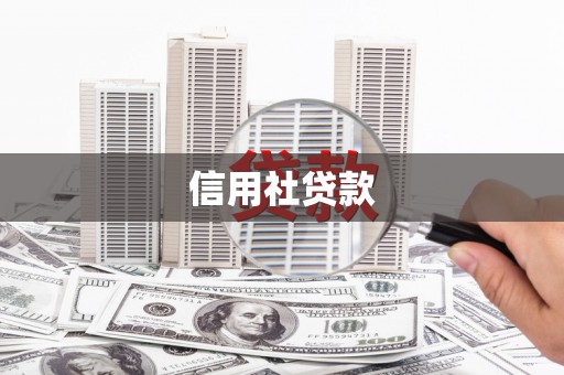 汉源信用社贷款