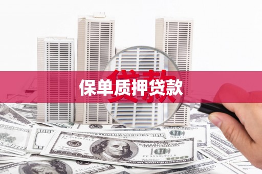 汉源保单质押贷款