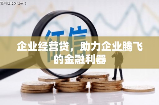 汉源企业经营贷，助力企业腾飞的金融利器