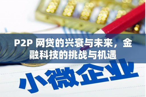 汉源P2P 网贷的兴衰与未来，金融科技的挑战与机遇
