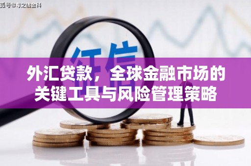 汉源外汇贷款，全球金融市场的关键工具与风险管理策略
