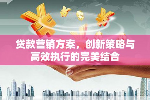 汉源贷款营销方案，创新策略与高效执行的完美结合