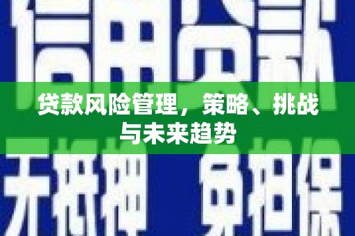 汉源贷款风险管理，策略、挑战与未来趋势