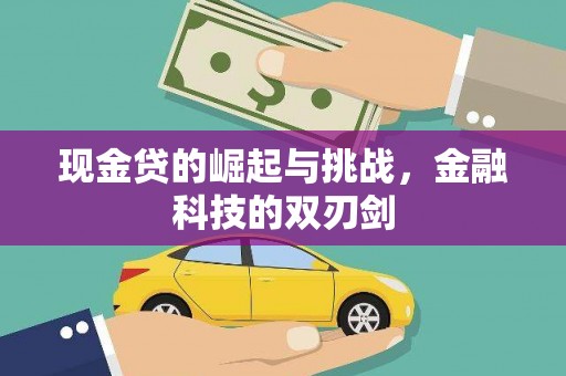 汉源现金贷的崛起与挑战，金融科技的双刃剑
