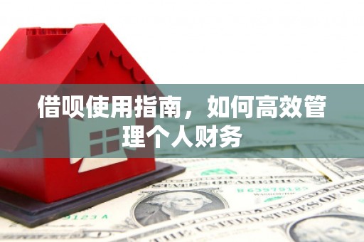 汉源借呗使用指南，如何高效管理个人财务