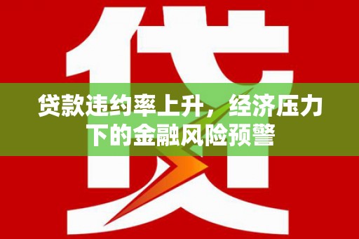 汉源贷款违约率上升，经济压力下的金融风险预警