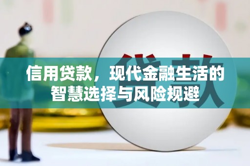 汉源信用贷款，现代金融生活的智慧选择与风险规避