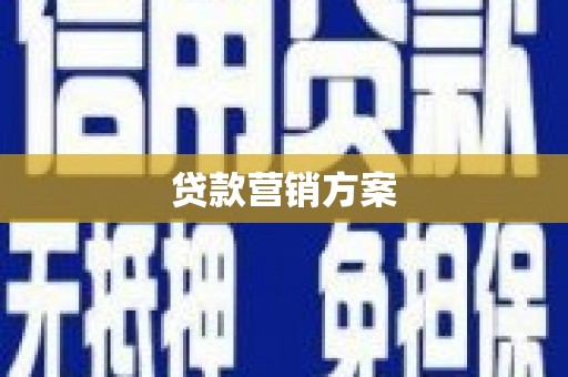 汉源贷款营销方案