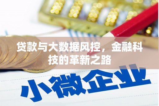 汉源贷款与大数据风控，金融科技的革新之路