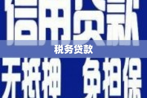 汉源税务贷款
