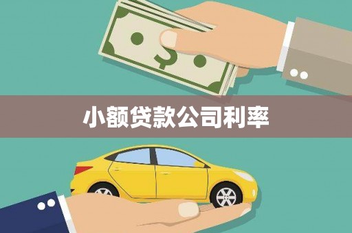 汉源小额贷款公司利率