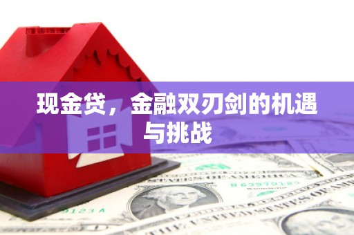 汉源现金贷，金融双刃剑的机遇与挑战