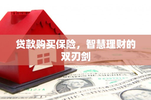 汉源贷款购买保险，智慧理财的双刃剑
