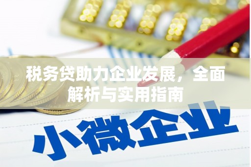汉源税务贷助力企业发展，全面解析与实用指南