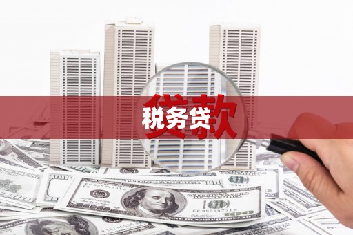 汉源税务贷