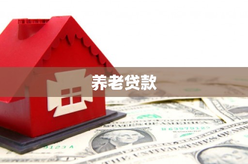 汉源养老贷款