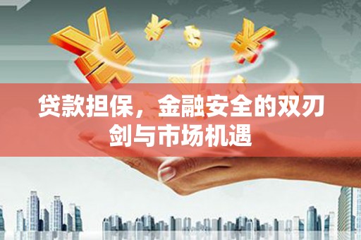汉源贷款担保，金融安全的双刃剑与市场机遇