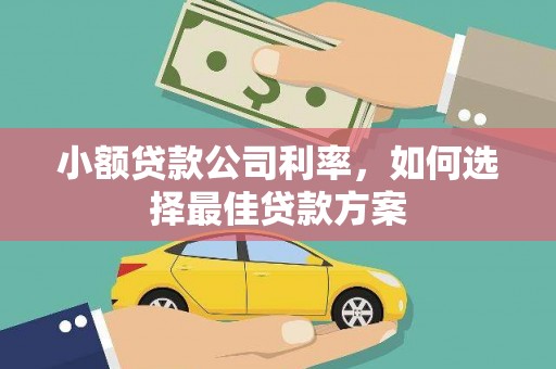 汉源小额贷款公司利率，如何选择最佳贷款方案