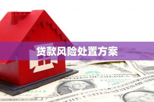 汉源贷款风险处置方案