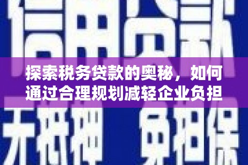 汉源探索税务贷款的奥秘，如何通过合理规划减轻企业负担