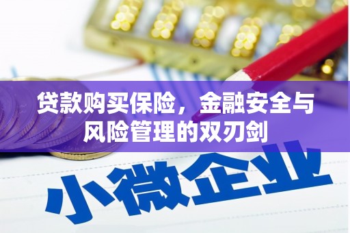 汉源贷款购买保险，金融安全与风险管理的双刃剑