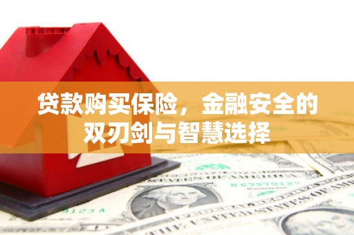 汉源贷款购买保险，金融安全的双刃剑与智慧选择