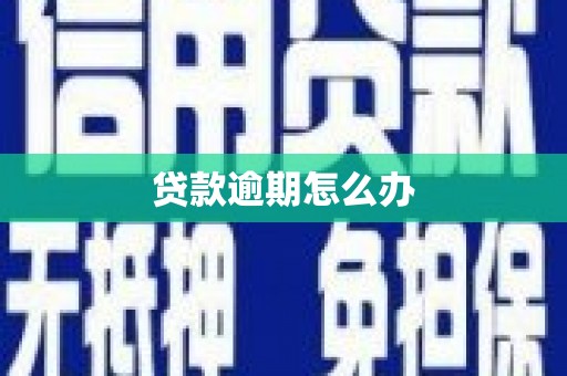 汉源贷款逾期怎么办
