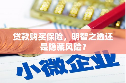 汉源贷款购买保险，明智之选还是隐藏风险？