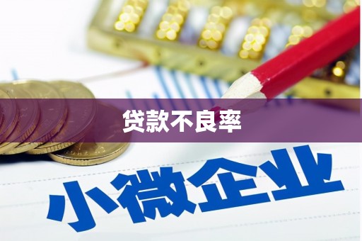 汉源贷款不良率