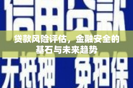 汉源贷款风险评估，金融安全的基石与未来趋势