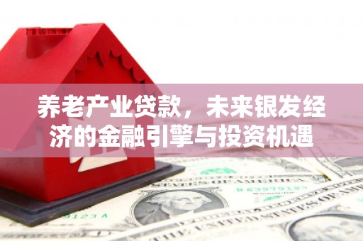 汉源养老产业贷款，未来银发经济的金融引擎与投资机遇