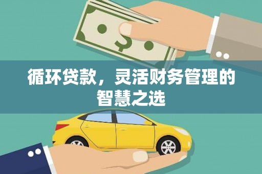 汉源循环贷款，灵活财务管理的智慧之选