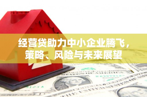 汉源经营贷助力中小企业腾飞，策略、风险与未来展望