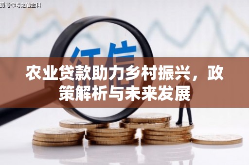 汉源农业贷款助力乡村振兴，政策解析与未来发展