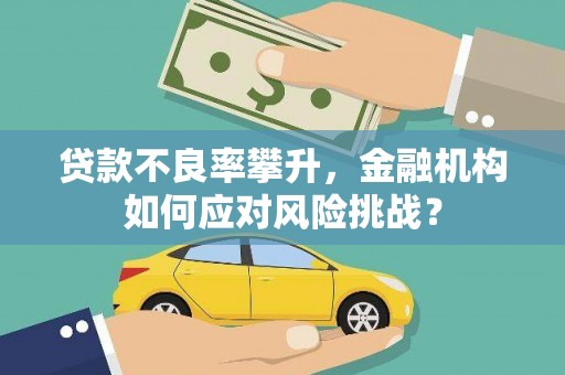 汉源贷款不良率攀升，金融机构如何应对风险挑战？