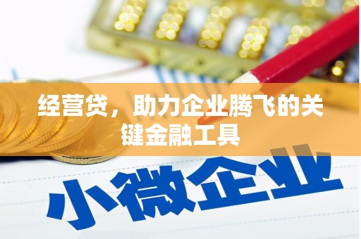 汉源经营贷，助力企业腾飞的关键金融工具