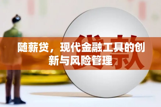 汉源随薪贷，现代金融工具的创新与风险管理